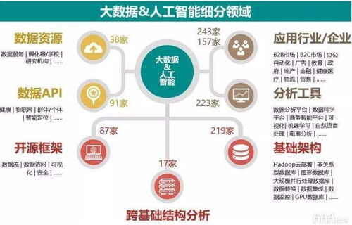 大數(shù)據(jù)分析 解鎖數(shù)據(jù)處理與存儲(chǔ)服務(wù)的無限潛能