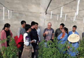 現(xiàn)代農(nóng)業(yè)信息化與農(nóng)業(yè)信息咨詢的協(xié)同發(fā)展