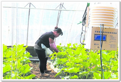 涿鹿縣供銷合作社 連接城鄉(xiāng)的橋梁與現(xiàn)代農(nóng)業(yè)信息咨詢的領(lǐng)航者